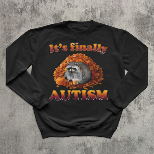 Black sweatshirt with raccoon and autumn design on a textured gray background