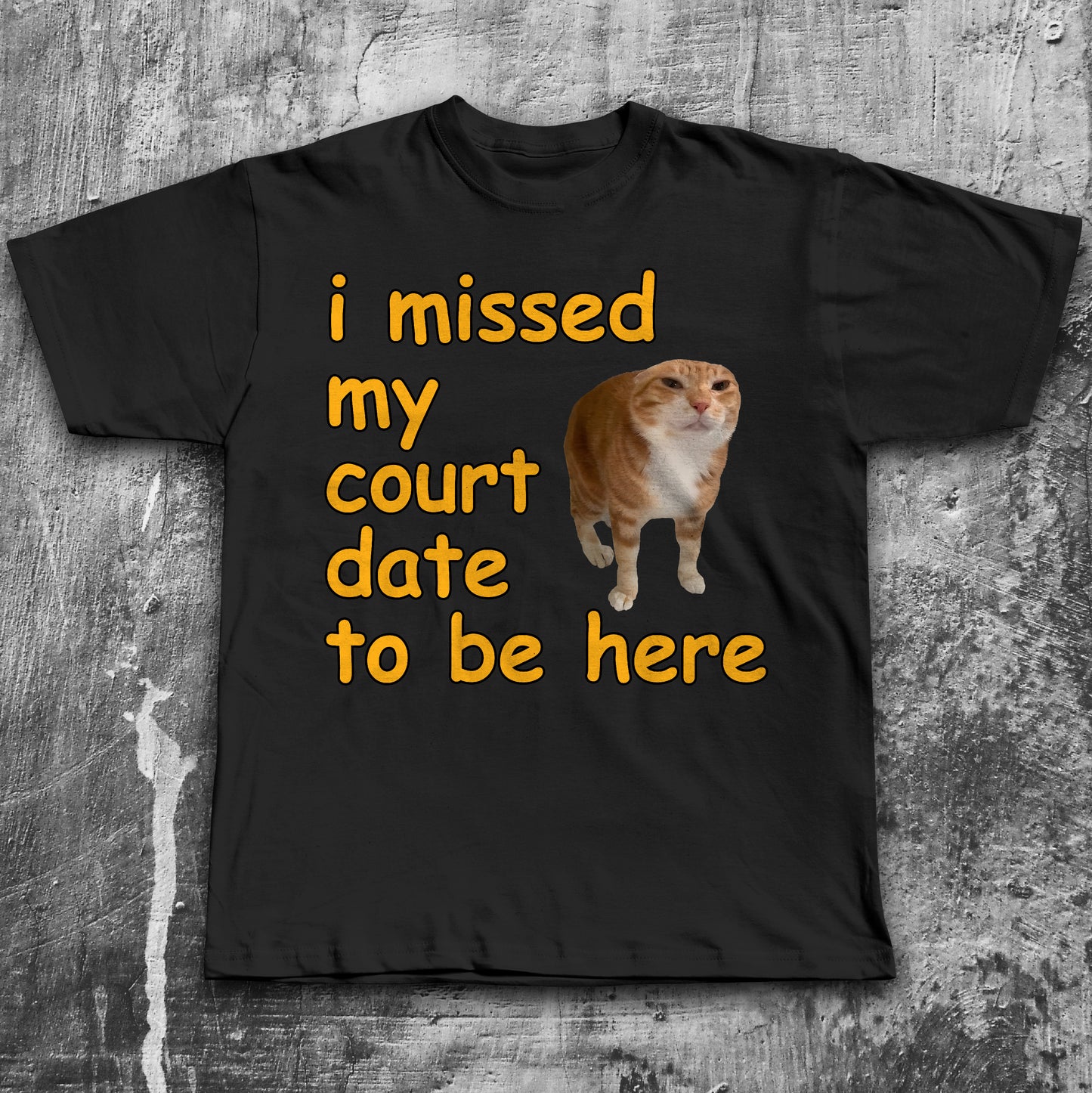 I missed my court date to be here Funny Cat Meme T-shirt