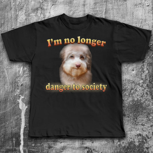 Im no Longer Danger To Society Funny Dog Meme T-shirt