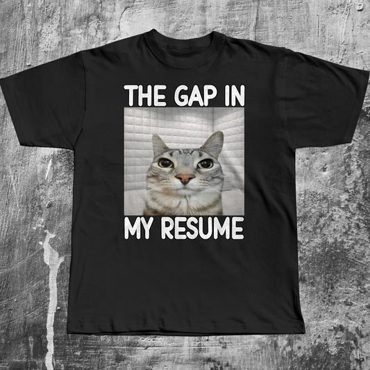 The Gap in My Resume Funny Cat Meme T-shirt, Brainrot Shirt