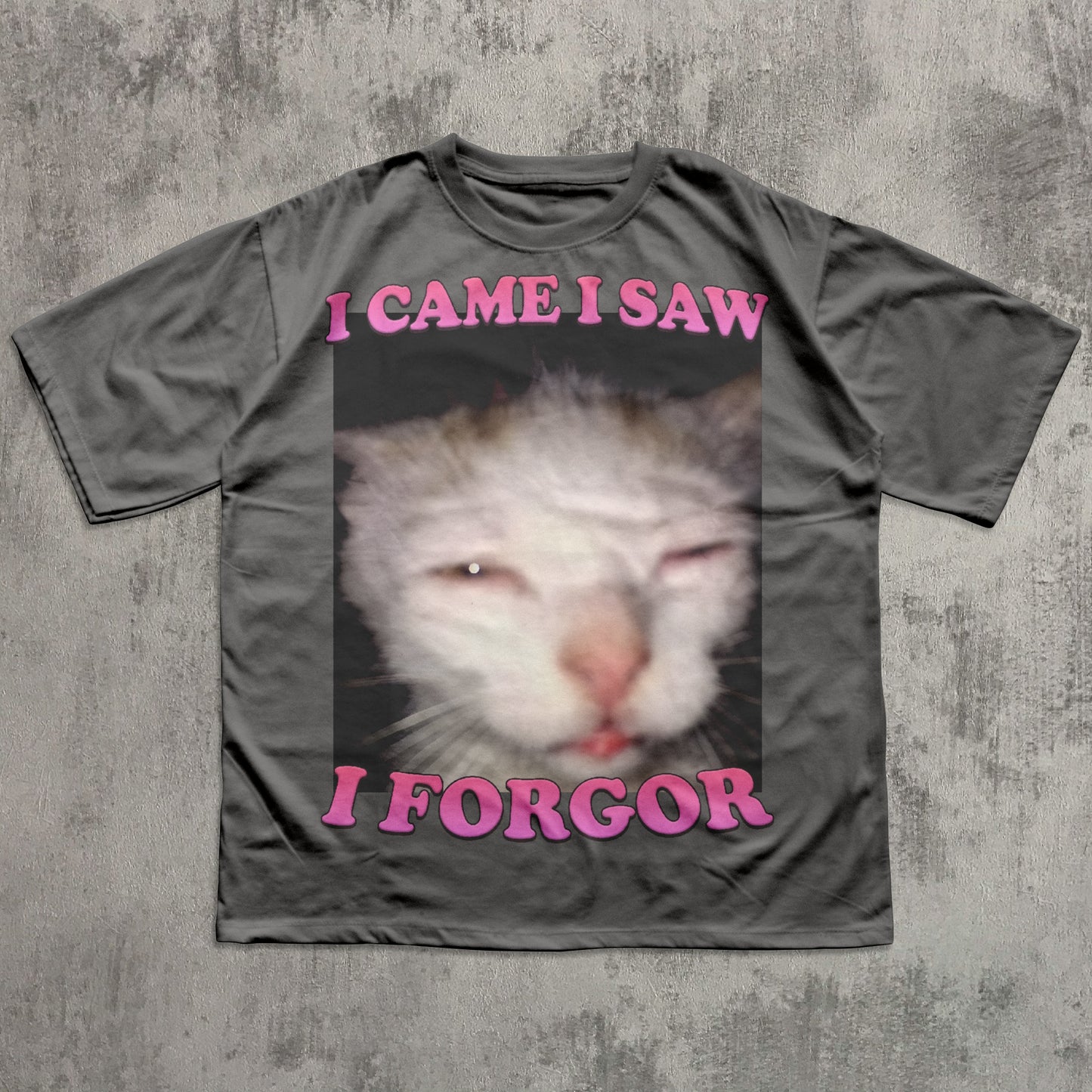 I came I saw I Forgor Funny Cat Meme T-shirt, Silly Cats Shirt, Stupid Shirts
