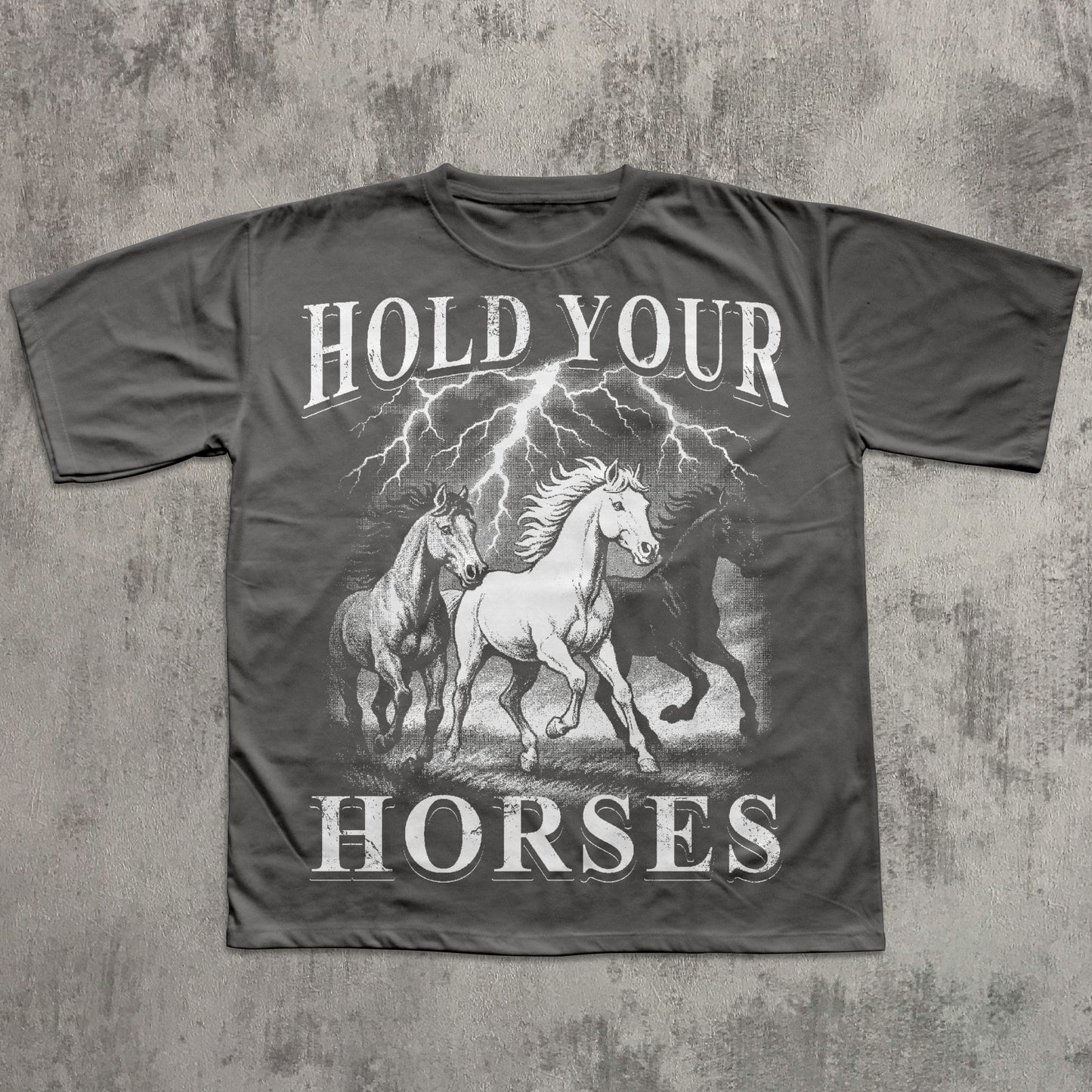 Gray t-shirt with graphic of horses and 'Hold Your Horses' text on a textured gray background