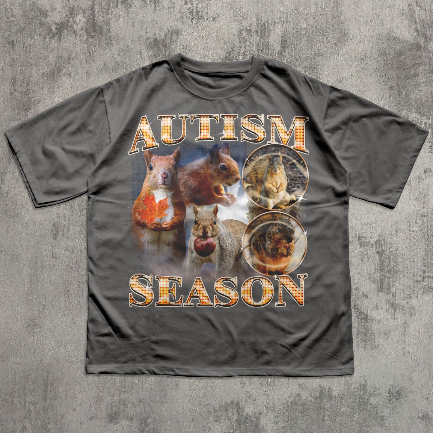 Autism Season Funny Squirrel T-shirt, Unhinged Clothes, Autumn Shirt, Stupid Gifts, Silly Animal Shirts, 90s Retro Bootleg Graphic Tee