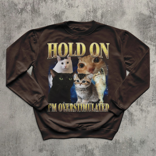 Funny Cat Meme Sweatshirt