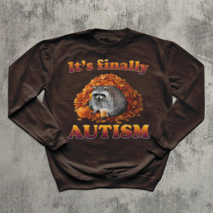 Brown sweatshirt with raccoon and autumn design on a textured gray background