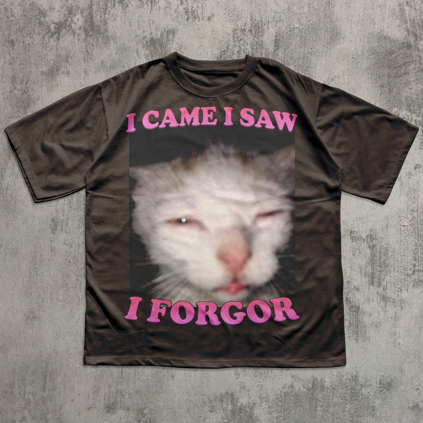 I came I saw I Forgor Funny Cat Meme T-shirt, Silly Cats Shirt, Stupid Shirts