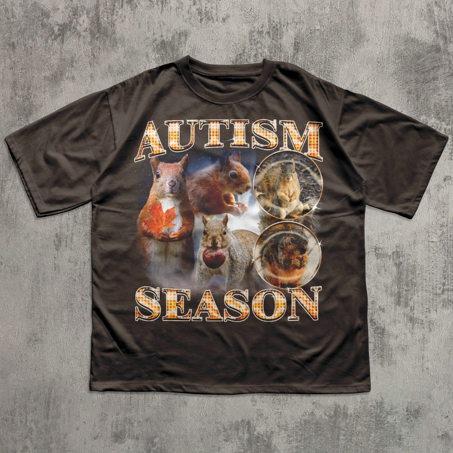 Autism Season Funny Squirrel T-shirt, Unhinged Clothes, Autumn Shirt, Stupid Gifts, Silly Animal Shirts, 90s Retro Bootleg Graphic Tee