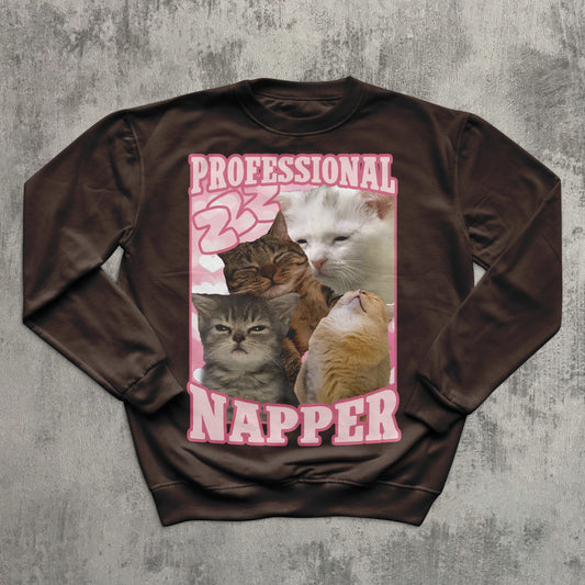 Professional  Napper Funny Cat Sweatshirt, Napping Cats Meme Tops, Ugly Sweater, Napper Kitten Sweatshirts