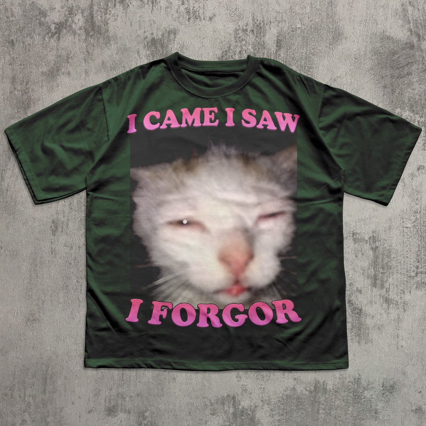 I came I saw I Forgor Funny Cat Meme T-shirt, Silly Cats Shirt, Stupid Shirts