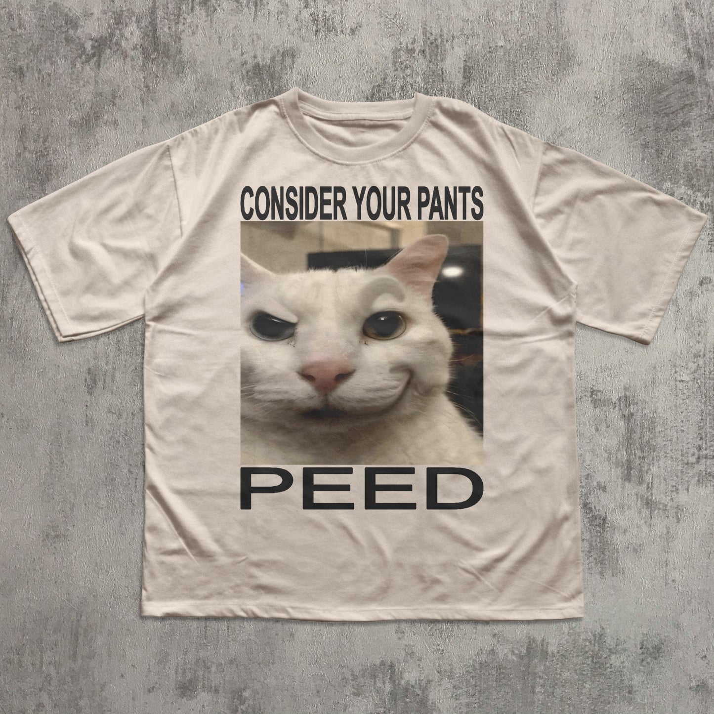 Consider Your Pants Peed Funny Cat Meme T-shirt, Brainrot Shirt