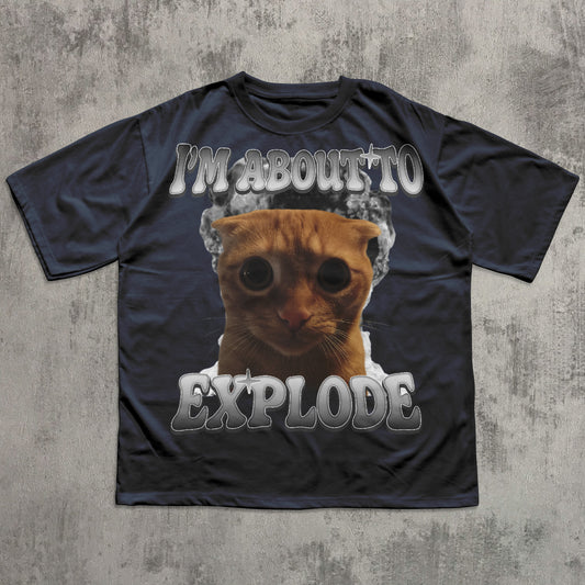 I'm About to Exlode Funny Cat Meme T-shirt, 90s Retro T-shirt, Cats Lover Gift