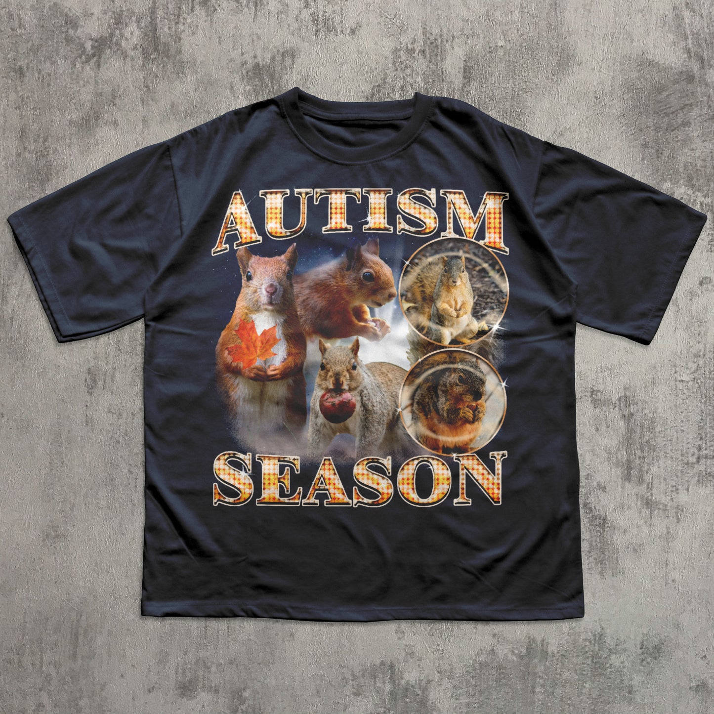 Autism Season Funny Squirrel T-shirt, Unhinged Clothes, Autumn Shirt, Stupid Gifts, Silly Animal Shirts, 90s Retro Bootleg Graphic Tee