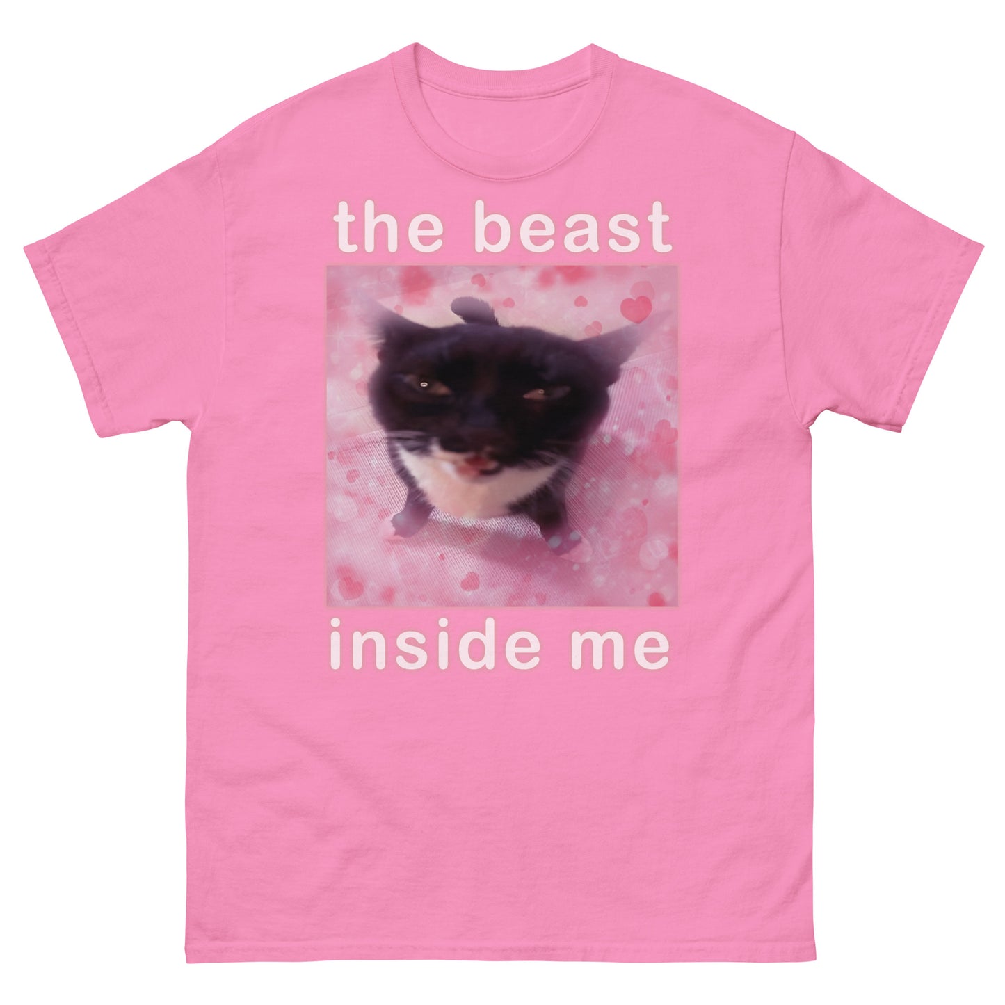 The Beast Inside Me Funny Cat Meme T-shirt