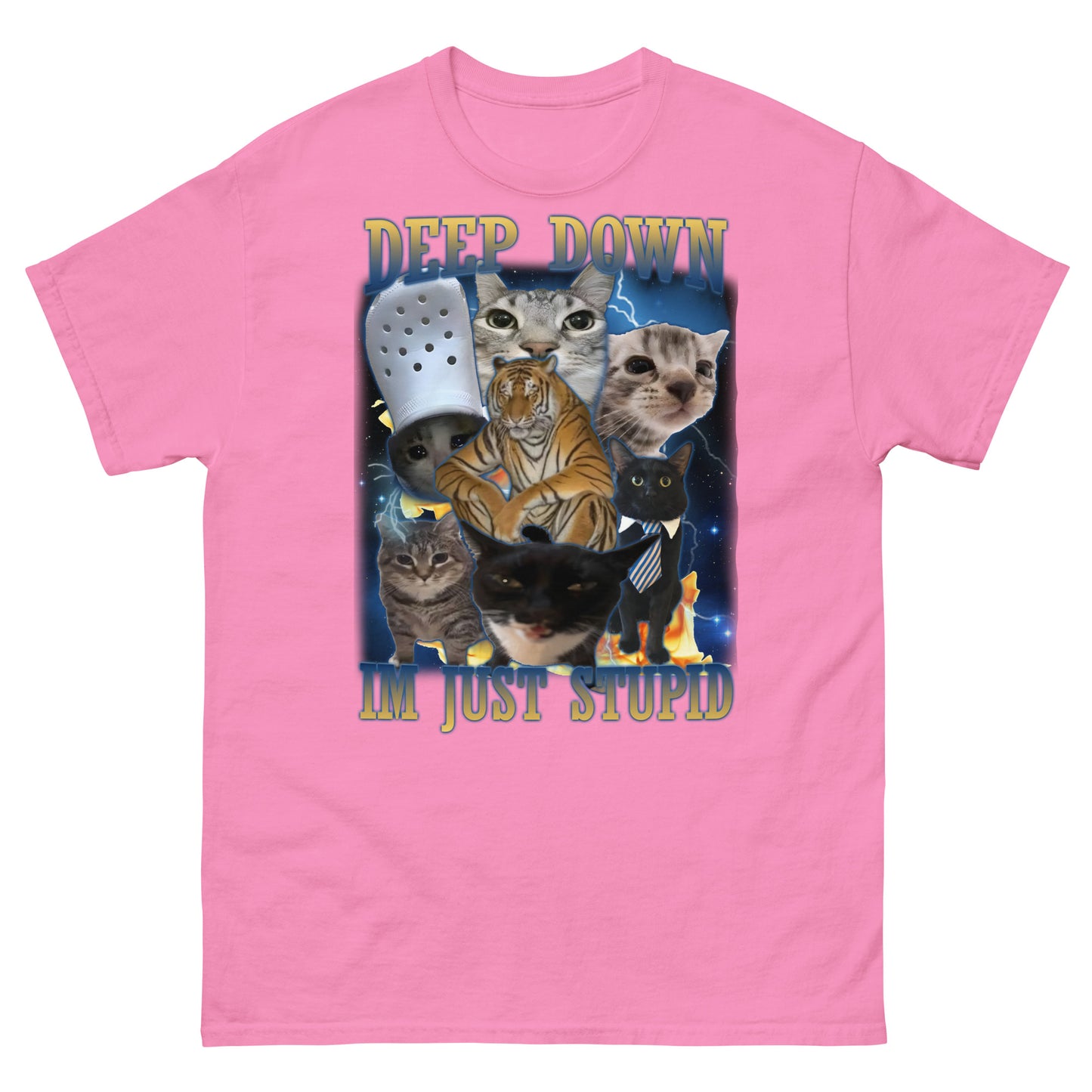 Deep Down Im Just Stupid Funny Cat Meme Tee Shirt