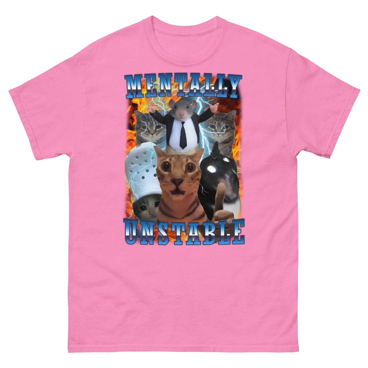 Mentally Unstable Funny Cat Meme Tee Shirt