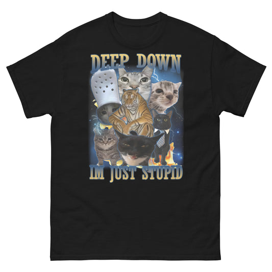 Deep Down Im Just Stupid Funny Cat Meme Tee Shirt