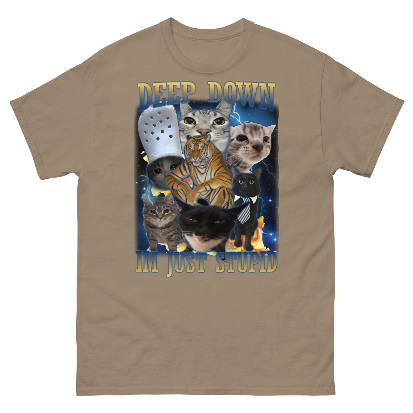 Deep Down Im Just Stupid Funny Cat Meme Tee Shirt