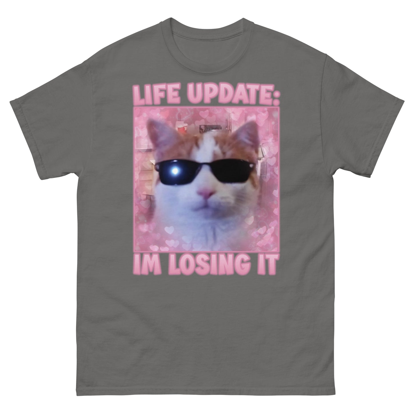 Life Update Im Losing It Funny Cat Meme T-Shirts