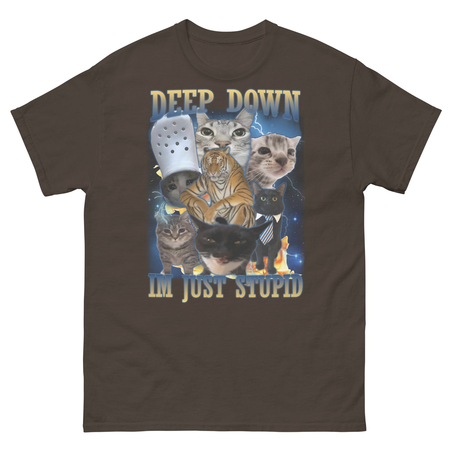 Deep Down Im Just Stupid Funny Cat Meme Tee Shirt