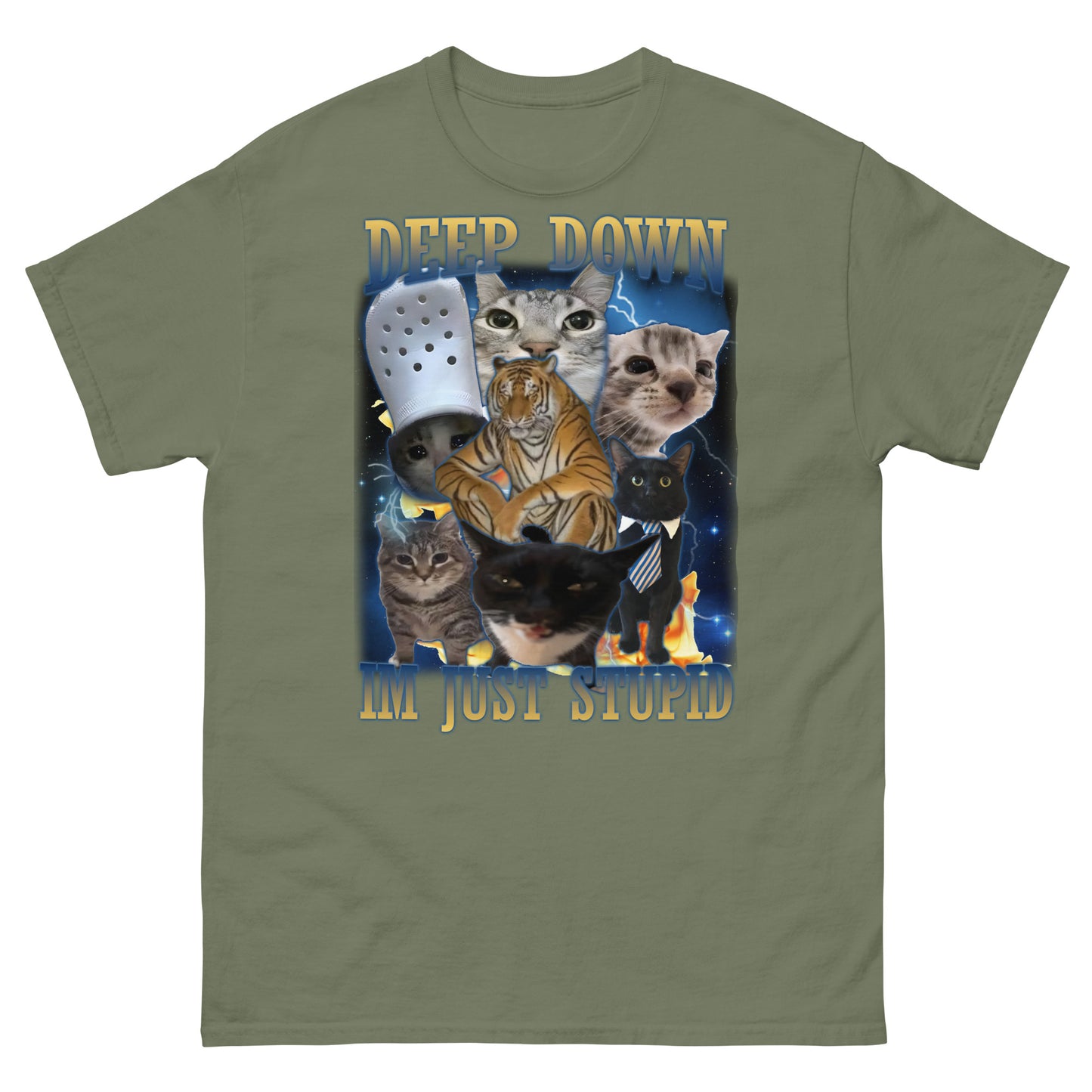 Deep Down Im Just Stupid Funny Cat Meme Tee Shirt