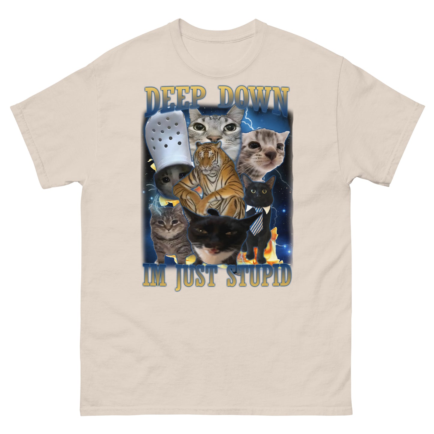 Deep Down Im Just Stupid Funny Cat Meme Tee Shirt