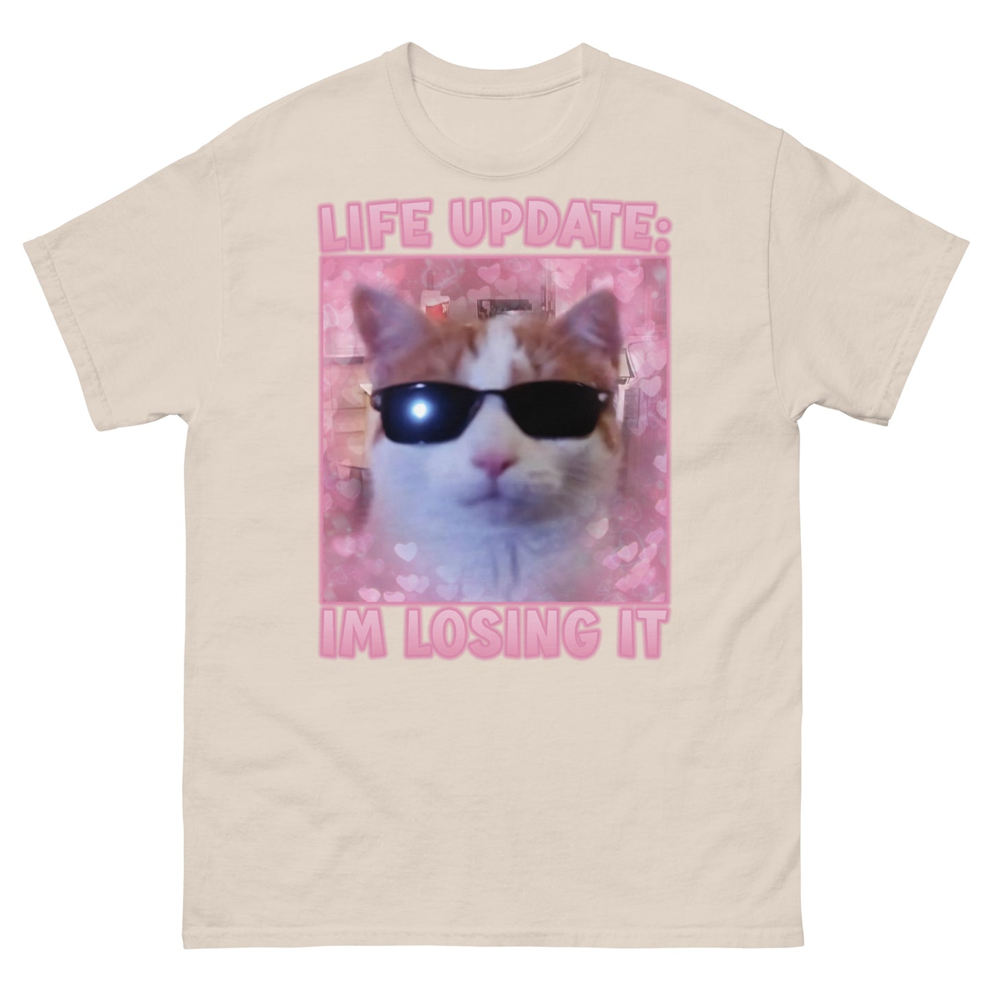 Life Update Im Losing It Funny Cat Meme T-Shirts