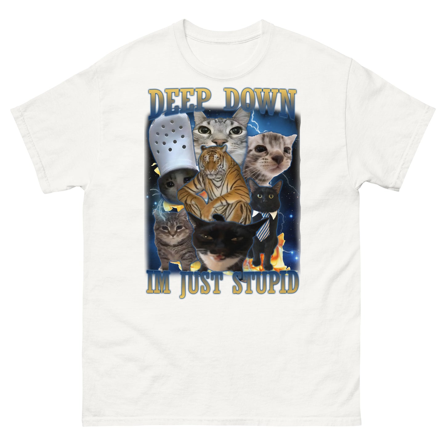 Deep Down Im Just Stupid Funny Cat Meme Tee Shirt