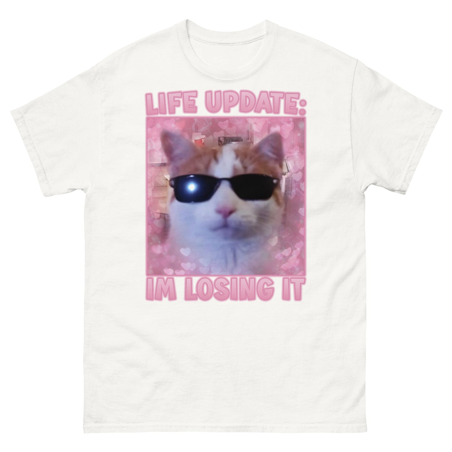 Life Update Im Losing It Funny Cat Meme T-Shirts