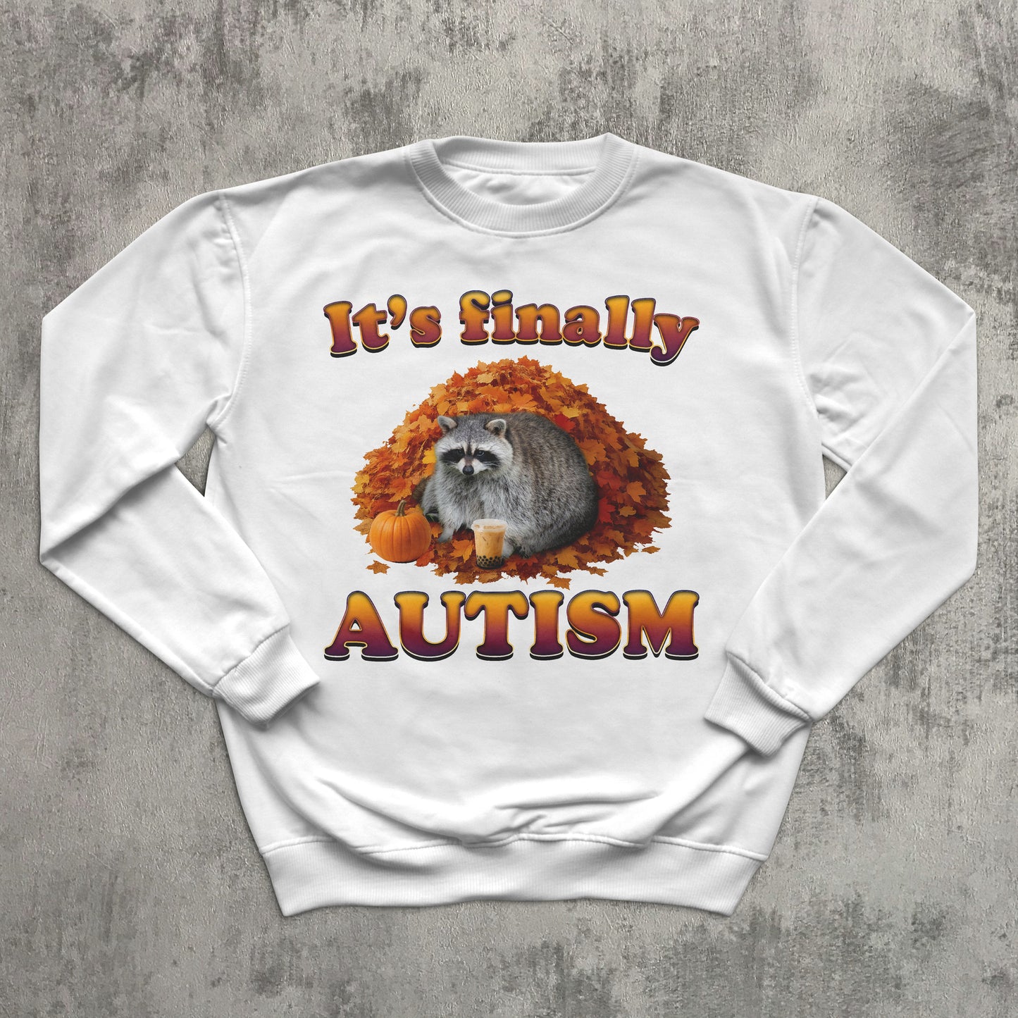 sweatshirt with raccoon and autumn design on a textured gray background